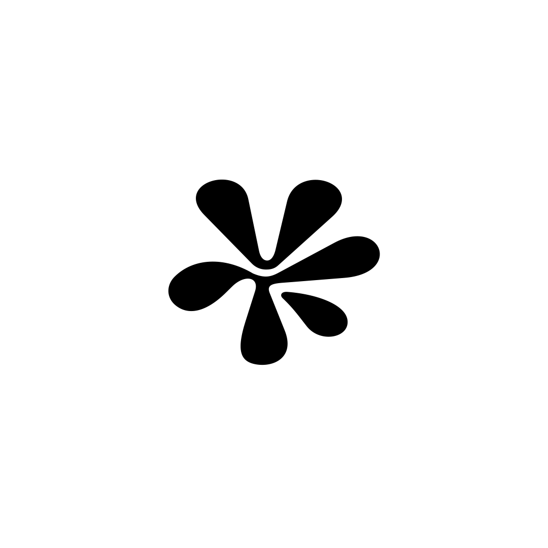pointofcreativesblack